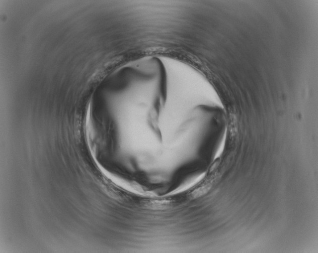 X0000076350664200610272121