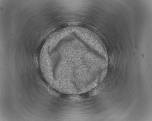 X0000076350666200610272121