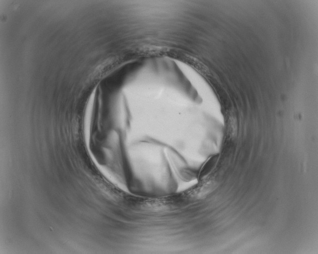 X0000076350668200610272121