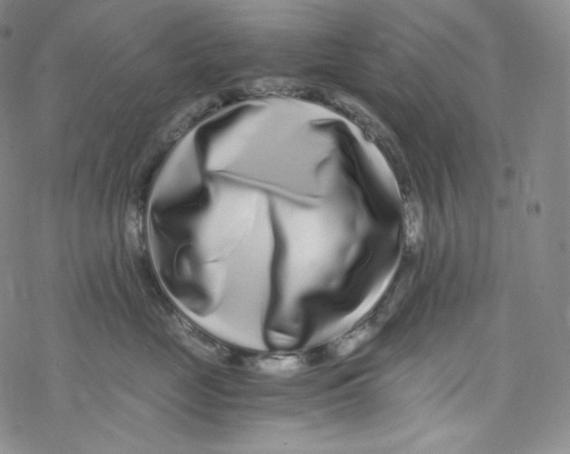 X0000076350669200610272121