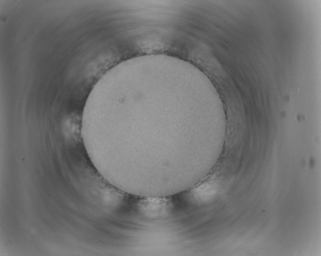 X0000076350672200610272121