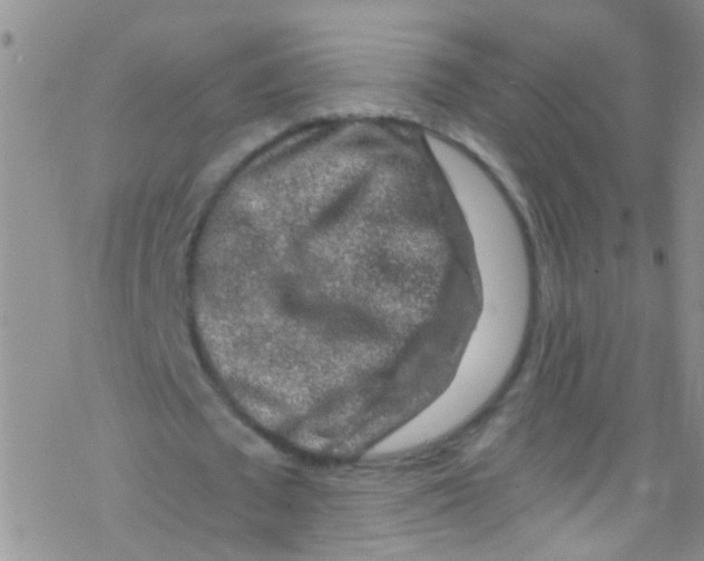 X0000076350673200610272120