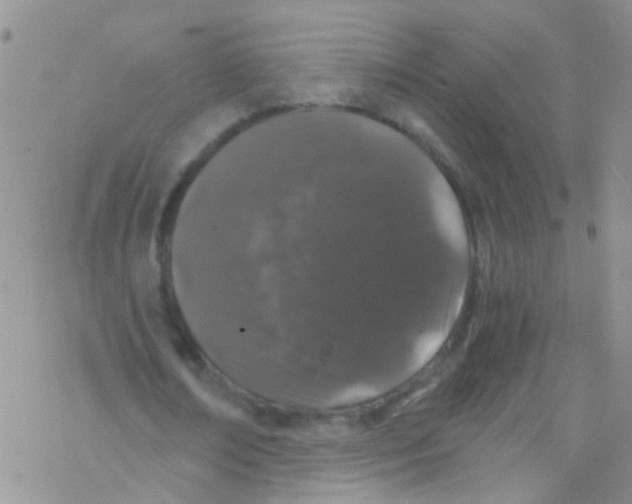 X0000076350674200610272120