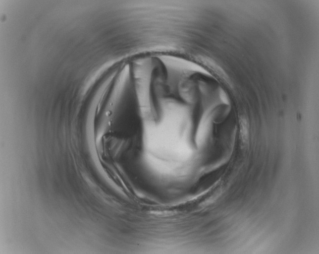 X0000076350676200610272120