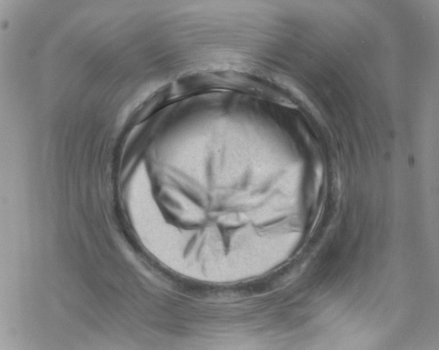 X0000076350677200610272120