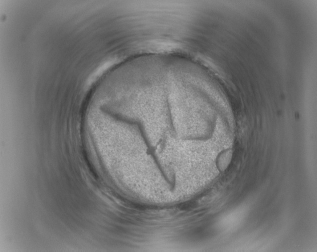 X0000076350679200610272120