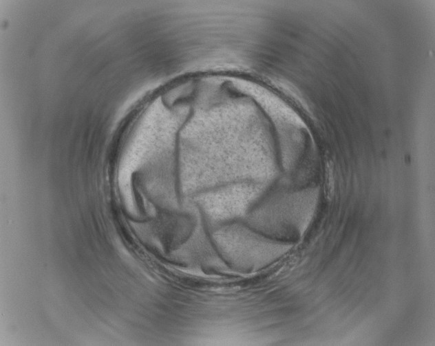 X0000076350680200610272120