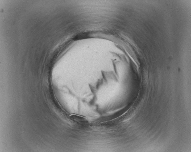 X0000076350681200610272120