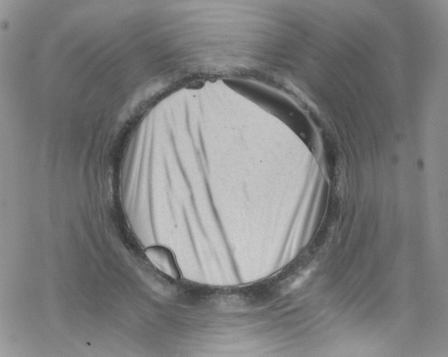 X0000076350685200610272120