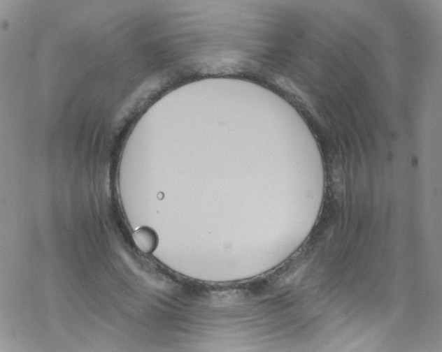 X0000076350686200610272120