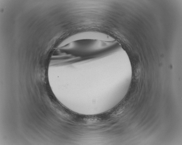 X0000076350693200610272120