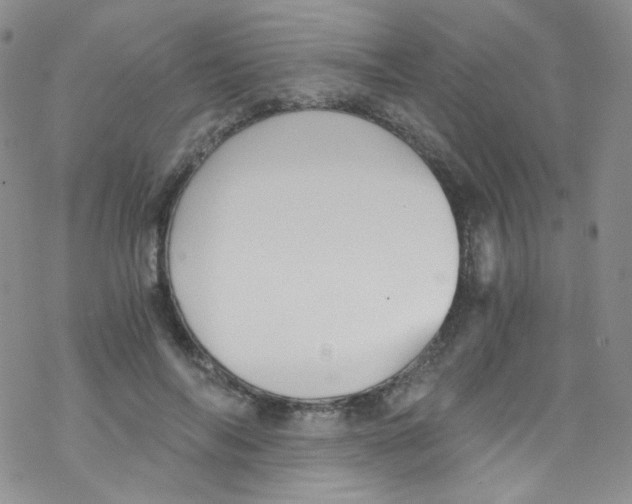 X0000076350694200610272120