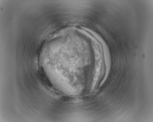 X0000076350696200610272120