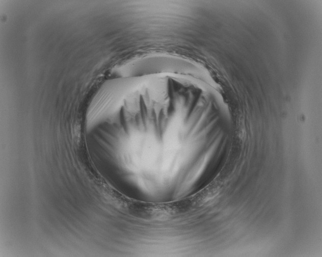 X0000076350697200610272120