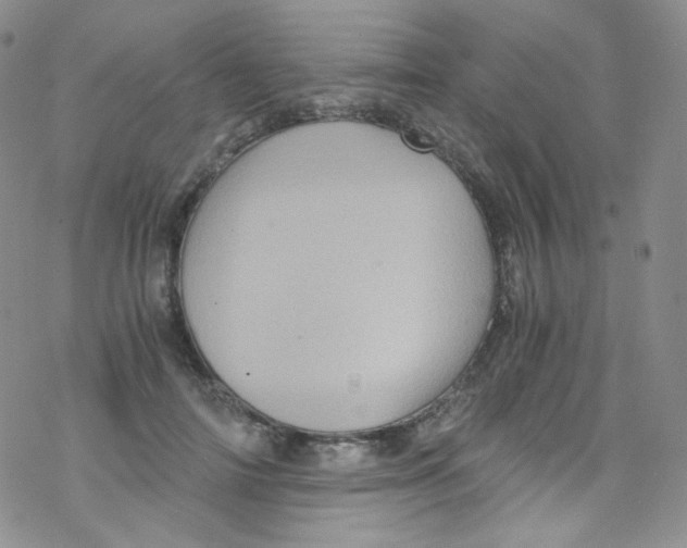 X0000076350698200610272120