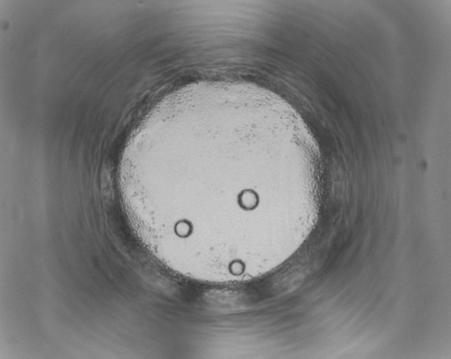 X0000076350699200610272120