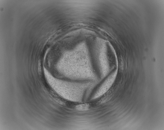 X0000076350700200610272120