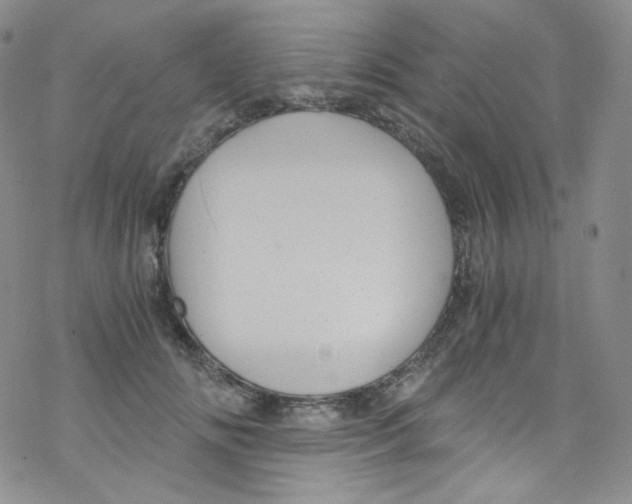 X0000076350702200610272120