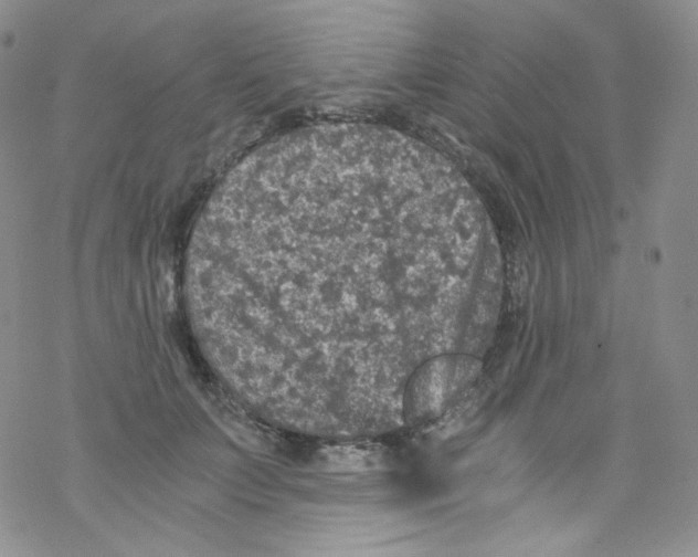 X0000076350703200610272120