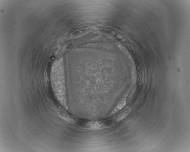 X0000076350704200610272120