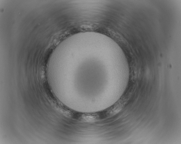 X0000076350706200610272120