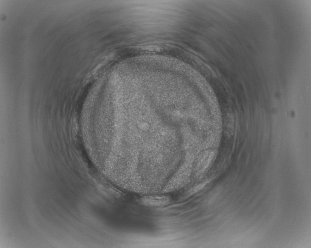 X0000076350707200610272120