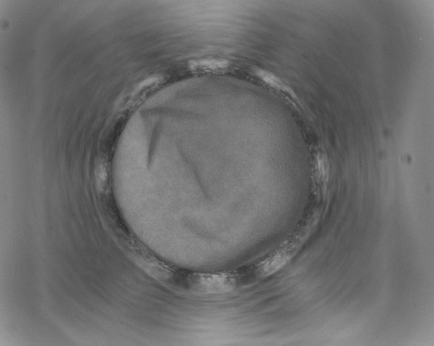 X0000076350709200610272120