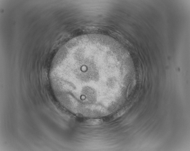 X0000076350711200610272120