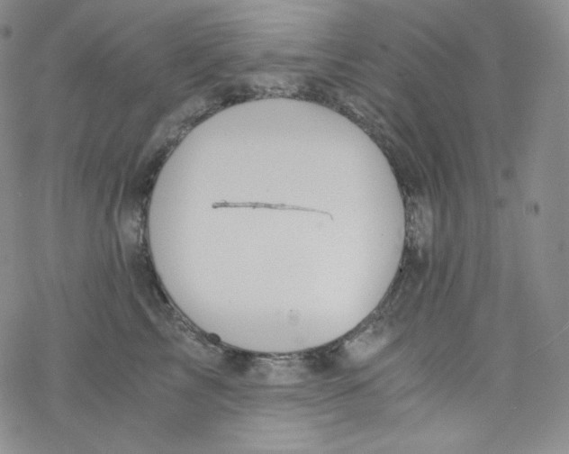 X0000076350713200610272120