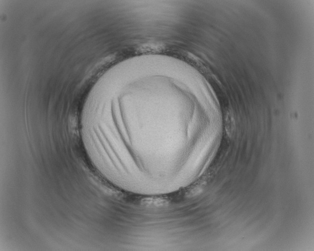 X0000076350714200610272120