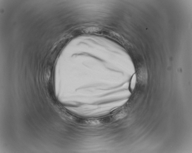 X0000076350715200610272120