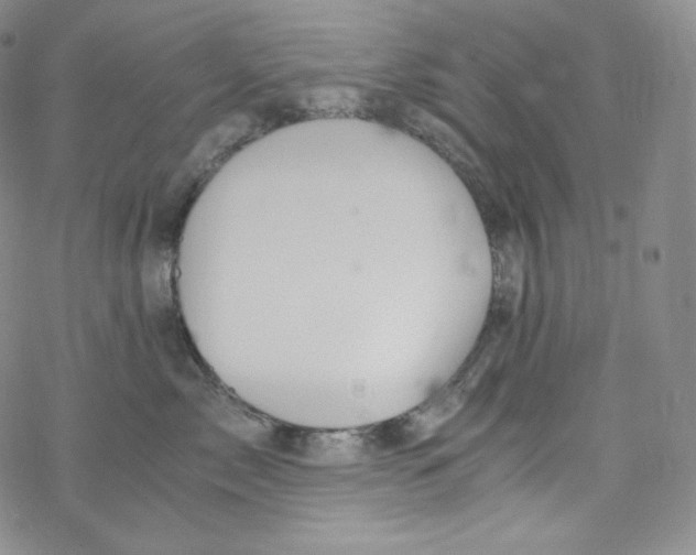 X0000076350717200610272120