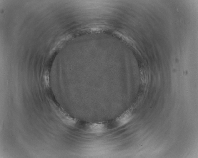 X0000076350718200610272120