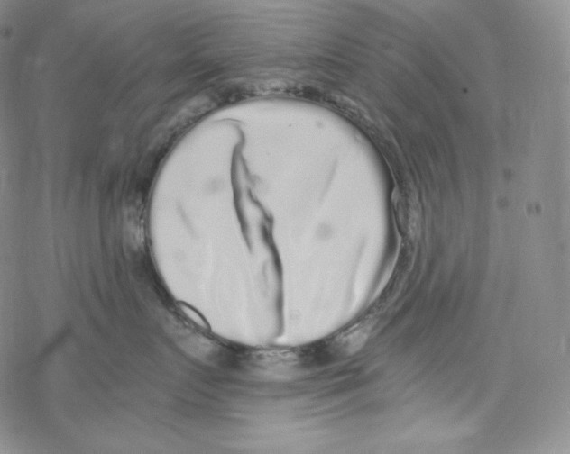 X0000076350719200610272120