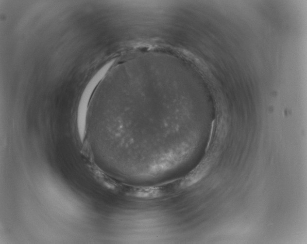 X0000076350720200610272120