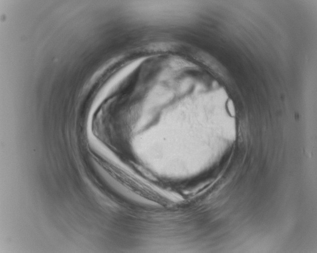 X0000076350722200610272119