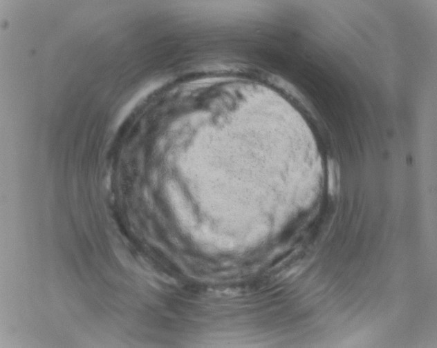 X0000076350723200610272119