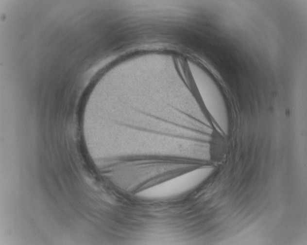 X0000076350724200610272119