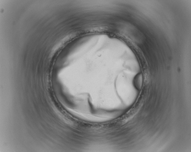 X0000076350725200610272119