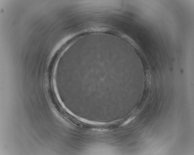 X0000076350726200610272119