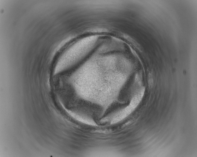 X0000076350727200610272119