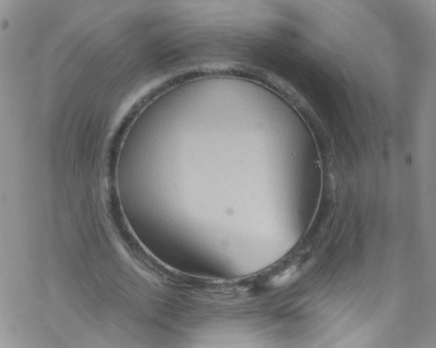 X0000076350728200610272119