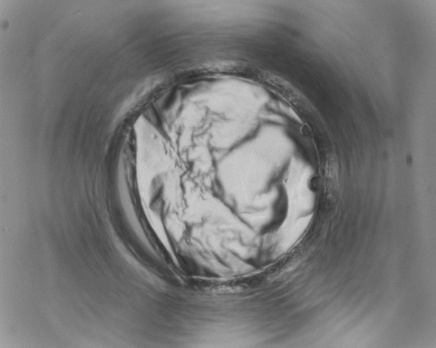 X0000076350734200610272119