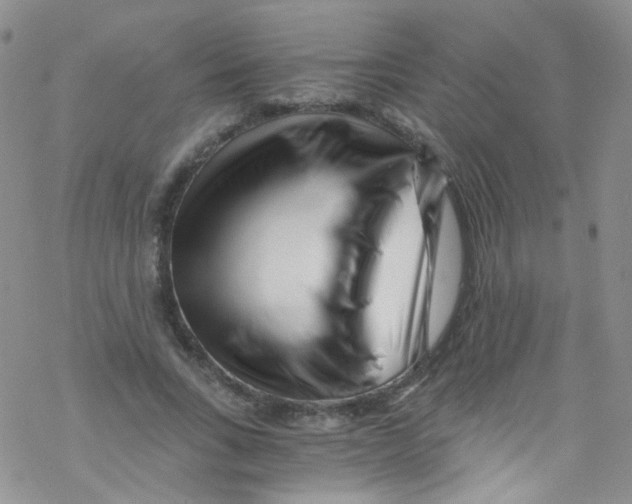 X0000076350735200610272119