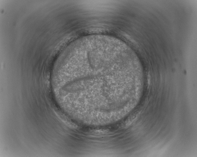 X0000076350737200610272119