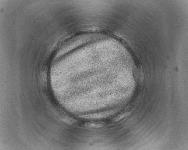 X0000076350739200610272119