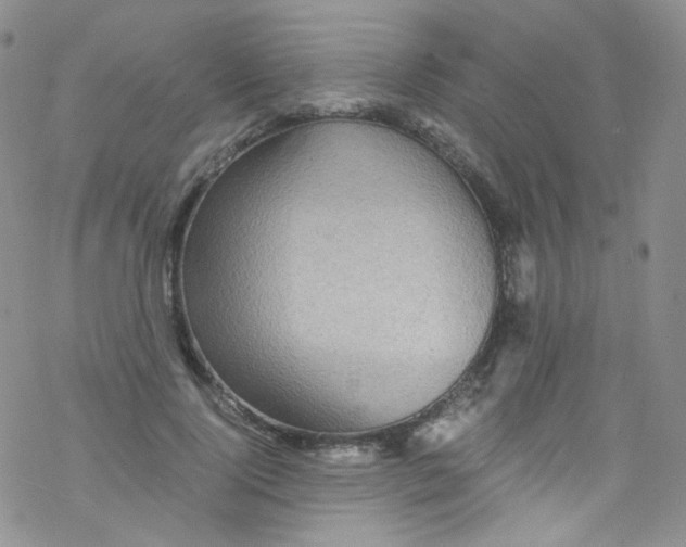 X0000076350740200610272119