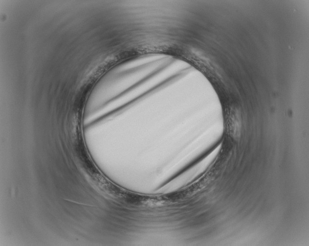 X0000076350742200610272119