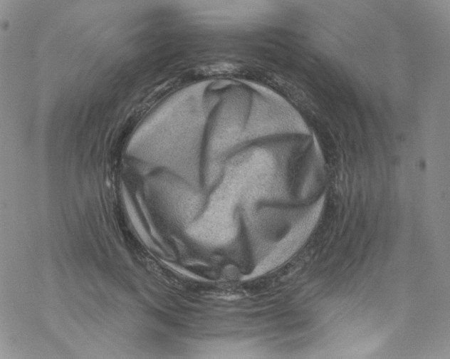 X0000076350743200610272119