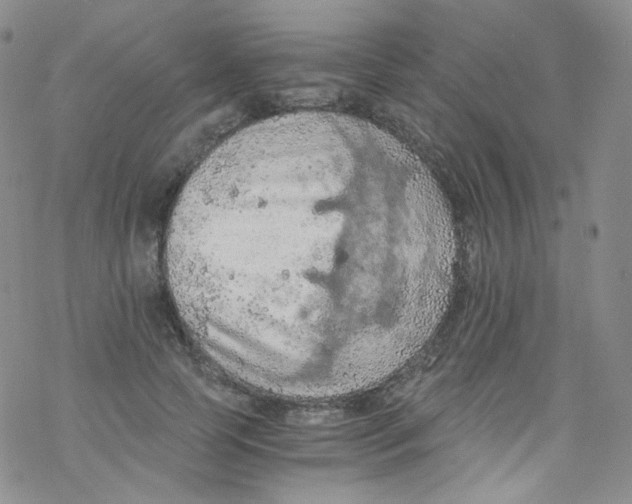 X0000076350745200610272119